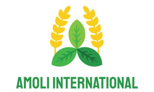 amoliinternational
